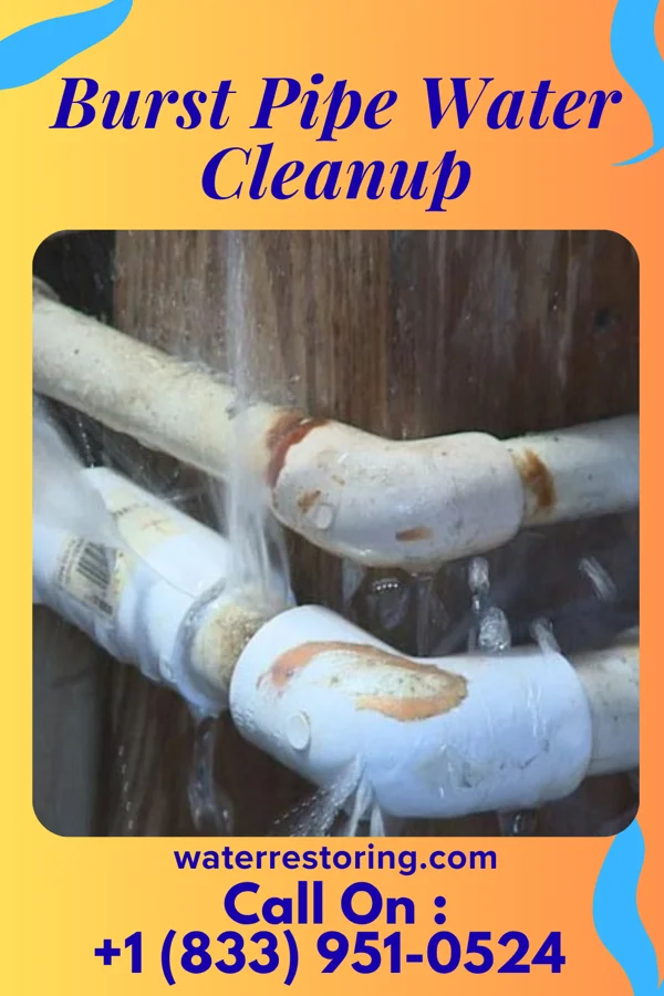 Burst Pipe Water Cleanup in Hanksville, VT