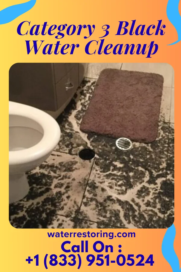 Category 3 Black Water Cleanup in Hanksville, VT
