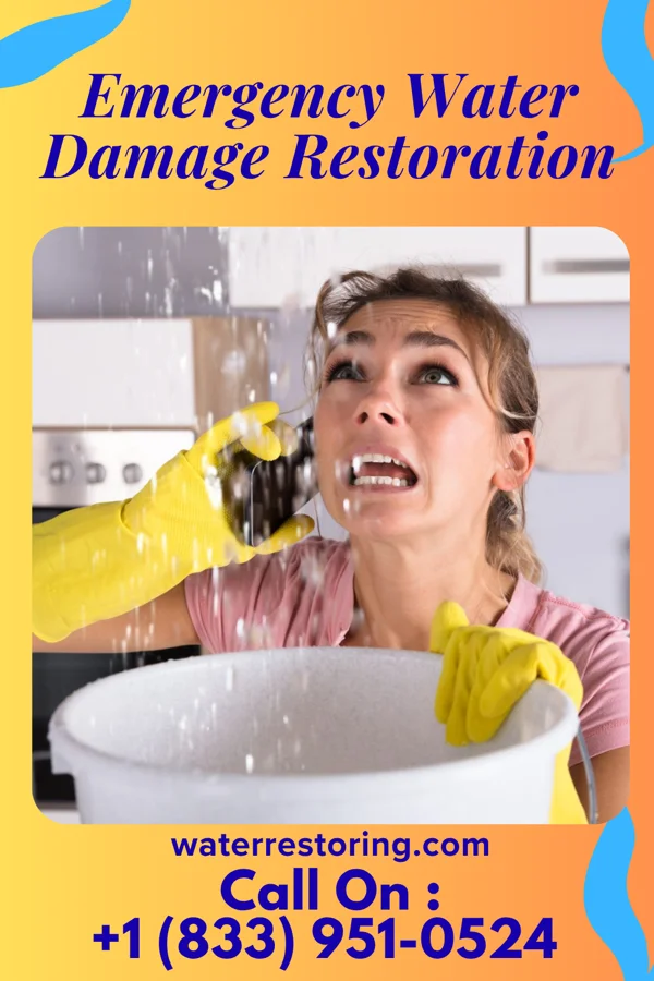 Emergency Water Damage Restoration in Hanksville, VT