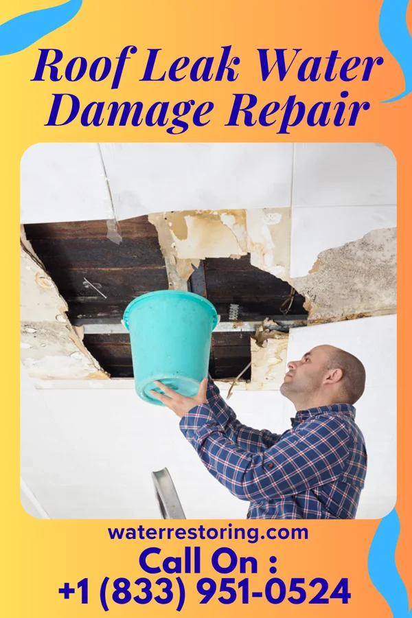 Roof Leak Water Damage Repair in Hanksville, VT