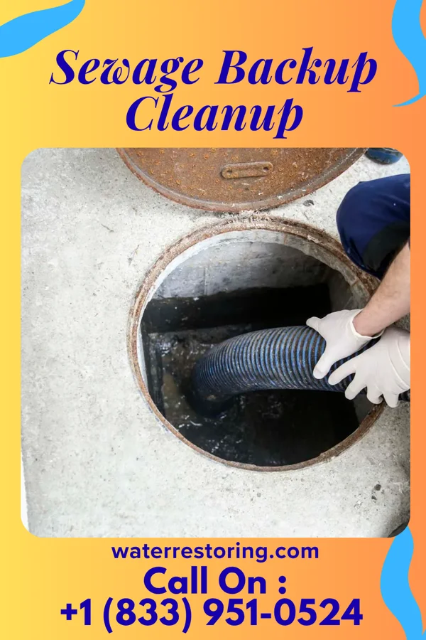 Sewage Backup Cleanup in Hanksville, VT