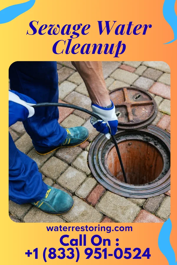 Sewage Water Cleanup in Hanksville, VT