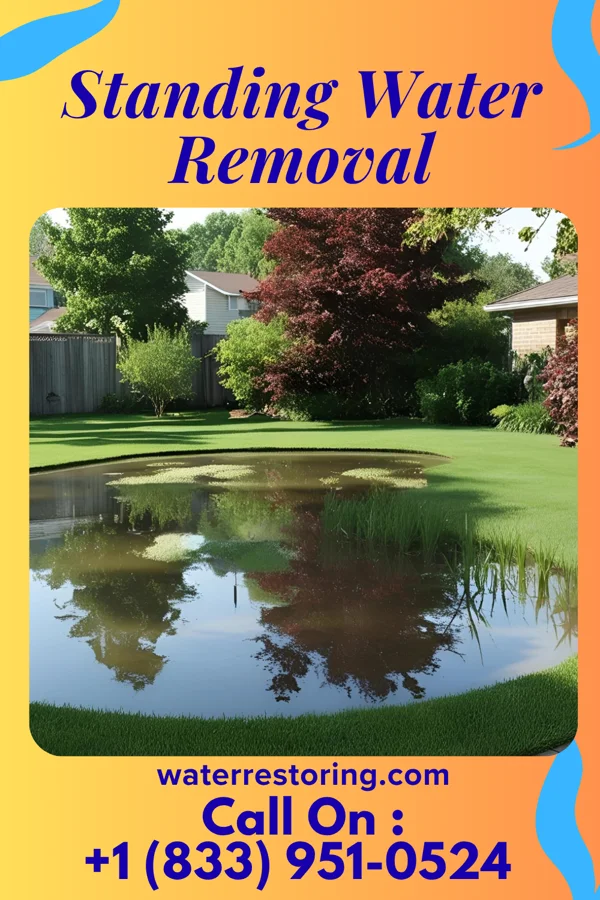 Standing Water Removal in Hanksville, VT